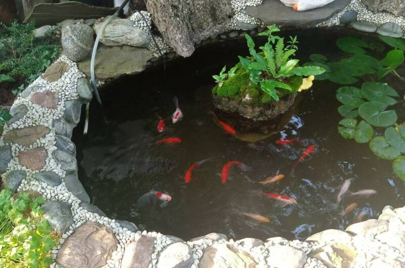 Изображение Изображение отеля / гостиницы "Гостевой дом «Капитан Врунгель»" #10 #8