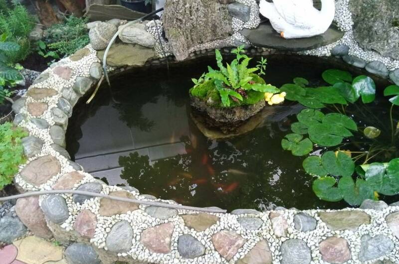 Изображение Изображение отеля / гостиницы "Гостевой дом «Капитан Врунгель»" #11 #9