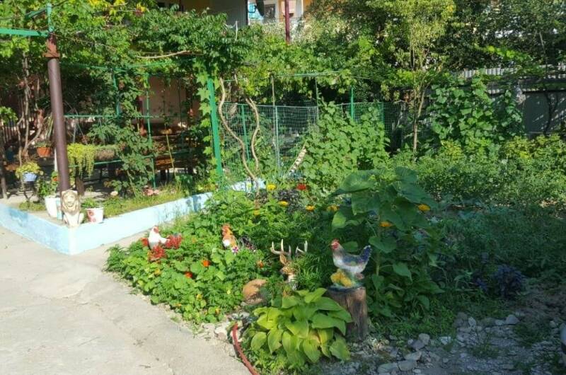 Изображение Изображение гостиницы &quot;Гостевой дом «Жасмин»&quot; #7 #7