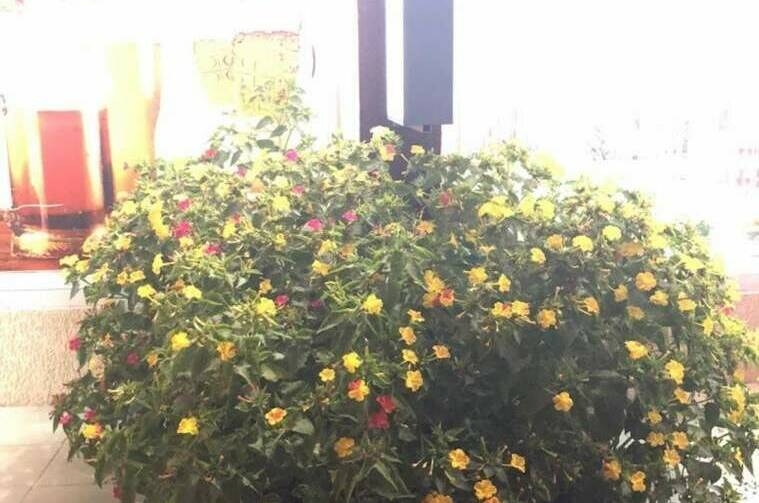 Изображение Изображение гостиницы &quot;Отель «Residence Hotel&amp;Hostel»&quot; #5 #5