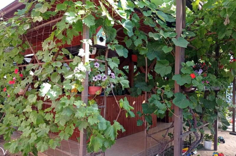 Изображение Изображение гостиницы &quot;Гостевой дом «Никита»&quot; #7 #7