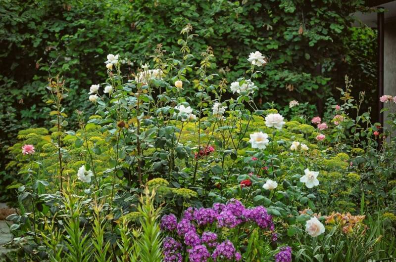 Изображение Изображение квартиры &quot;Дом под ключ в Персиковом саду&quot; #6 #6