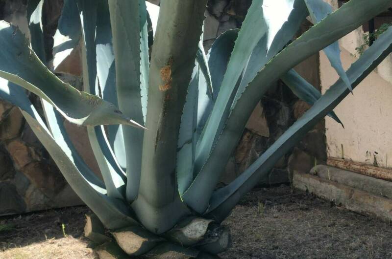 Изображение Изображение гостиницы &quot;Вилла «Marem»&quot; #4 #4