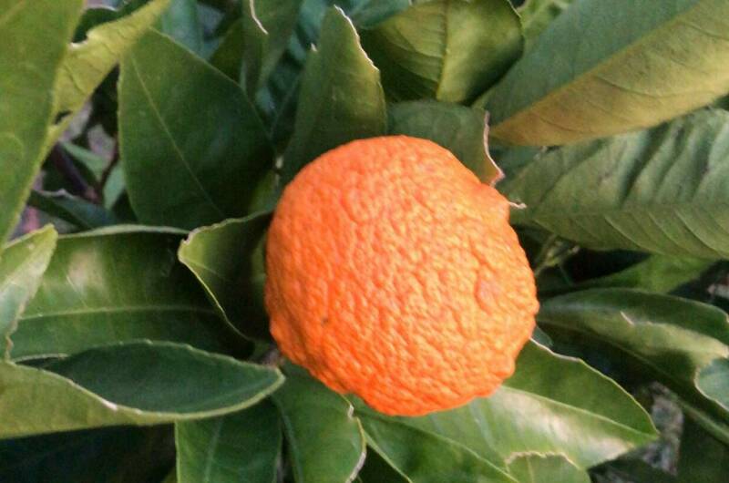 Изображение Изображение гостиницы &quot;Вилла «Marem»&quot; #5 #5