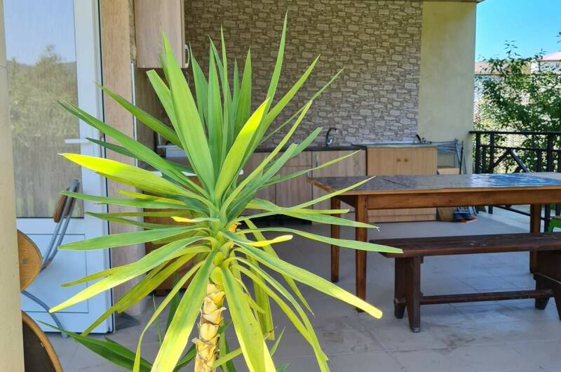 Изображение Изображение гостиницы "Гостевой дом на Подгорной" #8 #8