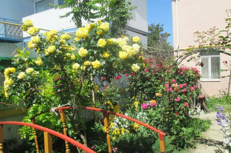 Изображение Изображение гостиницы &quot;Частный дом «Зеленый дворик»&quot; #5 #5