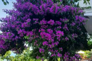 Изображение Частный дом «На Астраханской» #3