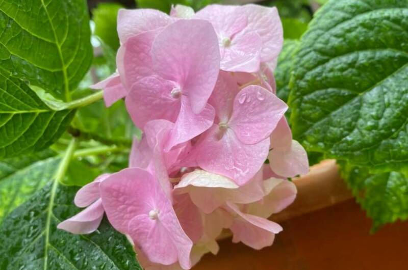 Изображение Изображение гостиницы "Частный дом «На Астраханской»" #2 #2