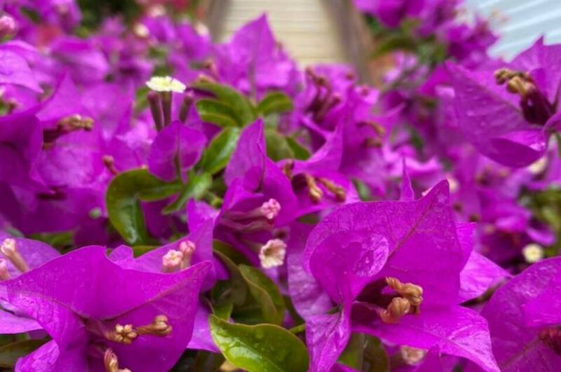 Изображение Изображение гостиницы "Частный дом «На Астраханской»" #4 #4