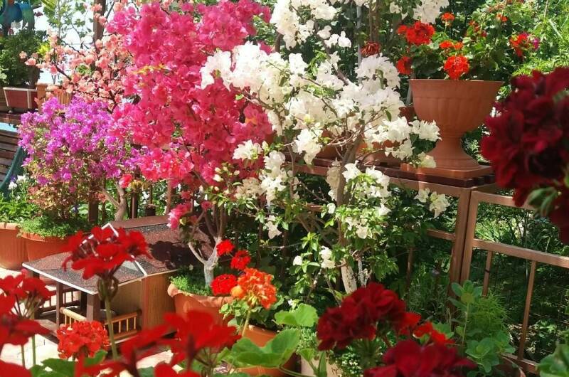 Изображение Изображение гостиницы "Частный дом «На Астраханской»" #5 #5