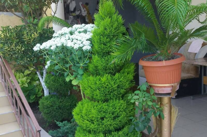 Изображение Изображение гостиницы "Частный дом «На Астраханской»" #6 #6