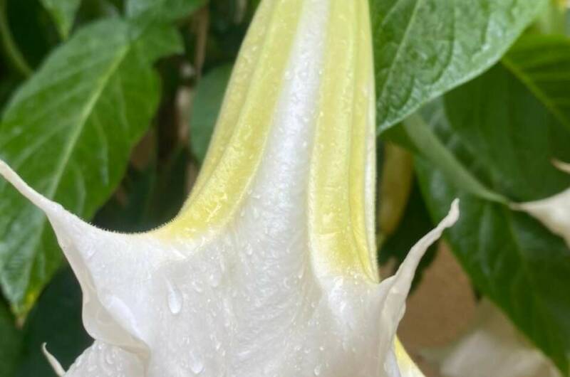 Изображение Изображение гостиницы "Частный дом «На Астраханской»" #7 #7