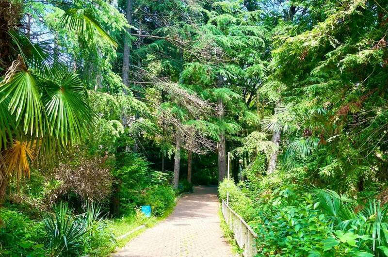 Изображение Изображение гостиницы "Вилла «Sunlion Лазурит»" #4 #4