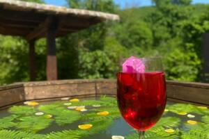 Изображение квартиры "Бунгало под ключ «Сатори»"