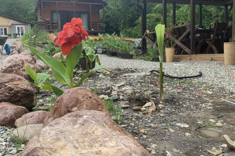 Изображение Изображение квартиры "Бунгало под ключ «Сатори»" #8 #8