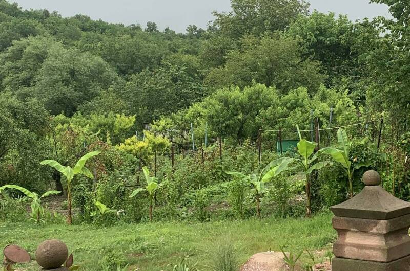 Изображение Изображение квартиры / апартамента "Бунгало под ключ «Сатори»" #11 #9