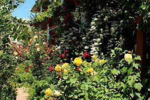 Изображение Изображение гостиницы &quot;Гостевой дом «Янтарь»&quot; #5 #5