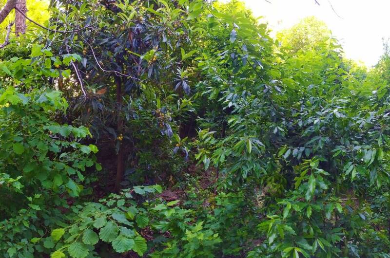 Изображение Изображение квартиры &quot;Однокомнатная квартира рядом с морем&quot; #2 #2