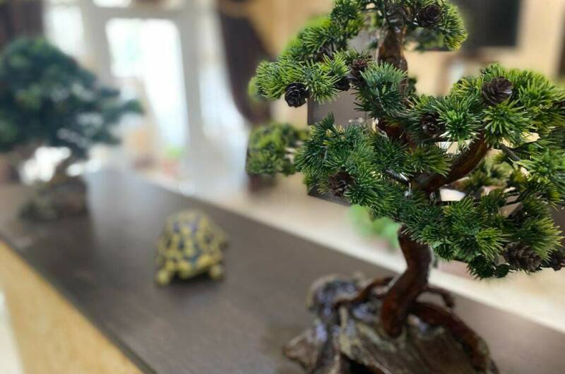 Изображение Изображение гостиницы &quot;Гостевой дом «Лилия»&quot; #2 #2