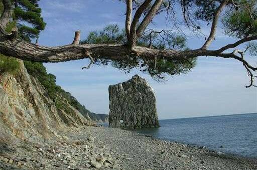 Изображение Изображение квартиры "Апартаменты у моря" #2 #2