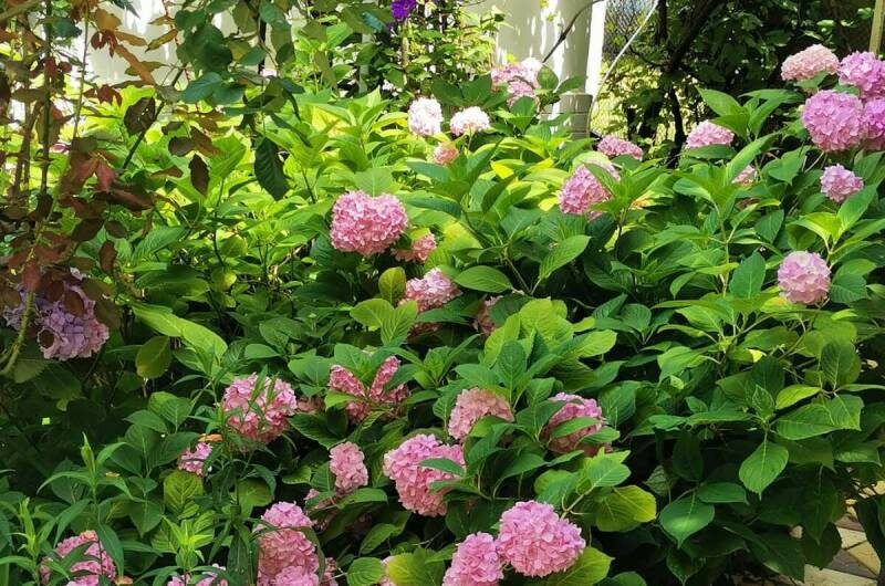 Изображение Изображение гостиницы &quot;Частный дом «У Ольги»&quot; #5 #5