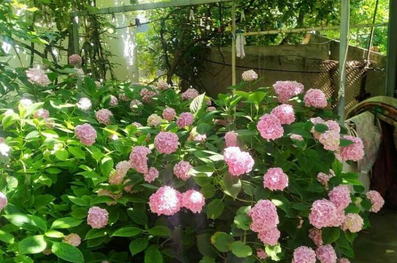 Изображение Изображение гостиницы &quot;Частный дом «У Ольги»&quot; #6 #6