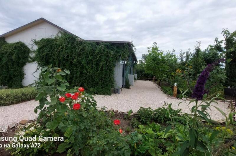 Изображение Изображение гостиницы "Гостевой двор на Октябрьской" #2 #2