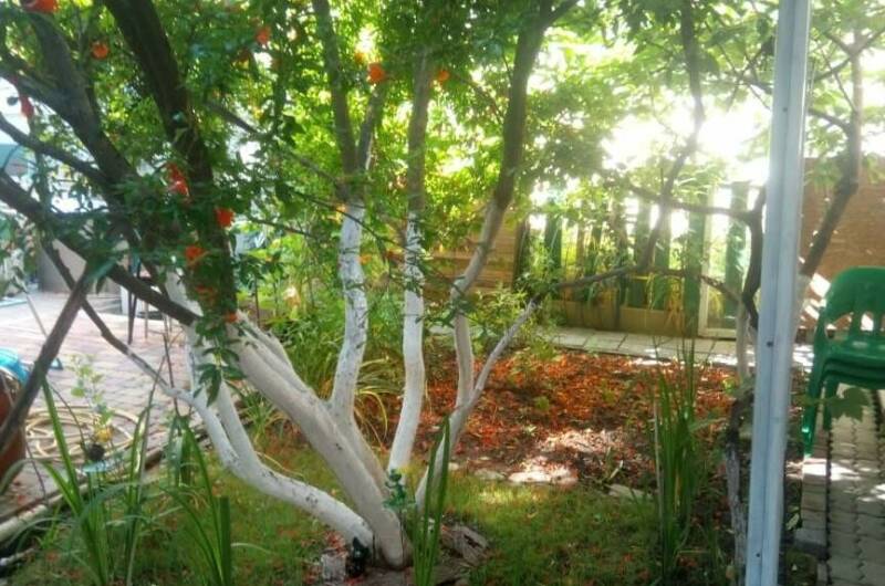 Изображение Изображение гостиницы &quot;Гостевой дом на Красногвардейской&quot; #3 #3