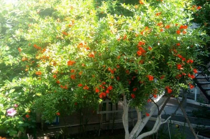 Изображение Изображение гостиницы &quot;Гостевой дом на Красногвардейской&quot; #5 #5