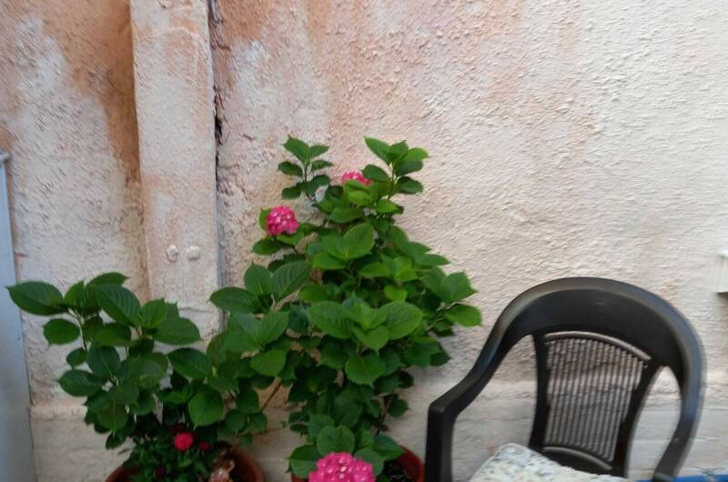 Изображение Изображение квартиры "Студия со своим двориком" #6 #6