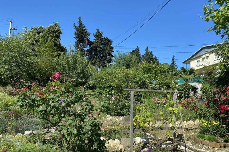 Изображение Изображение гостиницы &quot;Гостевой дом «Dom u morya»&quot; #8 #8