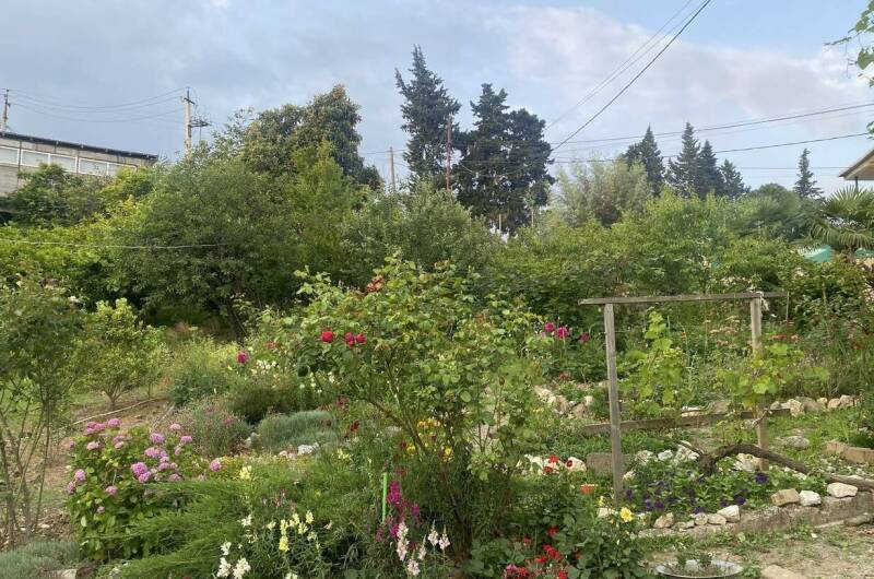 Изображение Изображение отеля / гостиницы "Гостевой дом «Dom u morya»" #11 #9