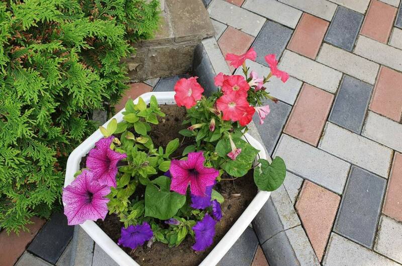 Изображение Изображение гостиницы &quot;Гостевой дом «Барабулька»&quot; #7 #7