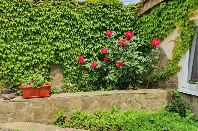 Изображение Изображение отеля / гостиницы "Гостевой дом «Барабулька»" #10 #8