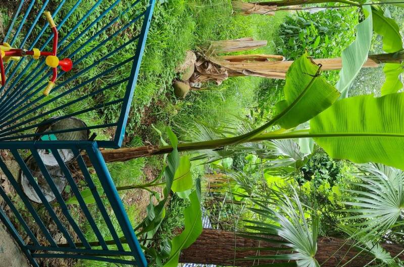 Изображение Изображение гостиницы &quot;Гостевой дом «У Зои»&quot; #2 #2