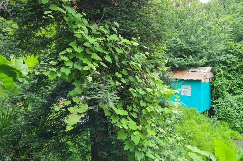 Изображение Изображение гостиницы &quot;Гостевой дом «У Зои»&quot; #4 #4