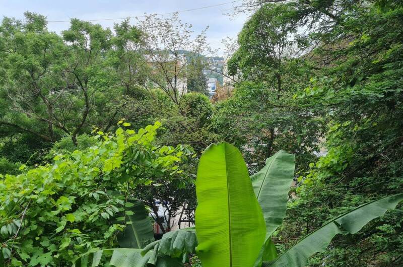 Изображение Изображение гостиницы &quot;Гостевой дом «У Зои»&quot; #7 #7