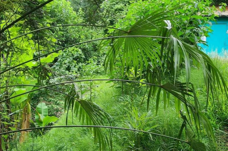 Изображение Изображение гостиницы &quot;Гостевой дом «У Зои»&quot; #8 #8