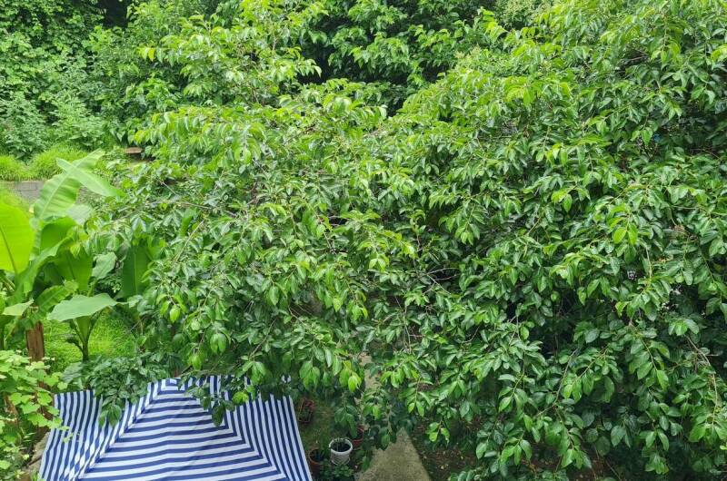 Изображение Изображение отеля / гостиницы "Гостевой дом «У Зои»" #10 #8