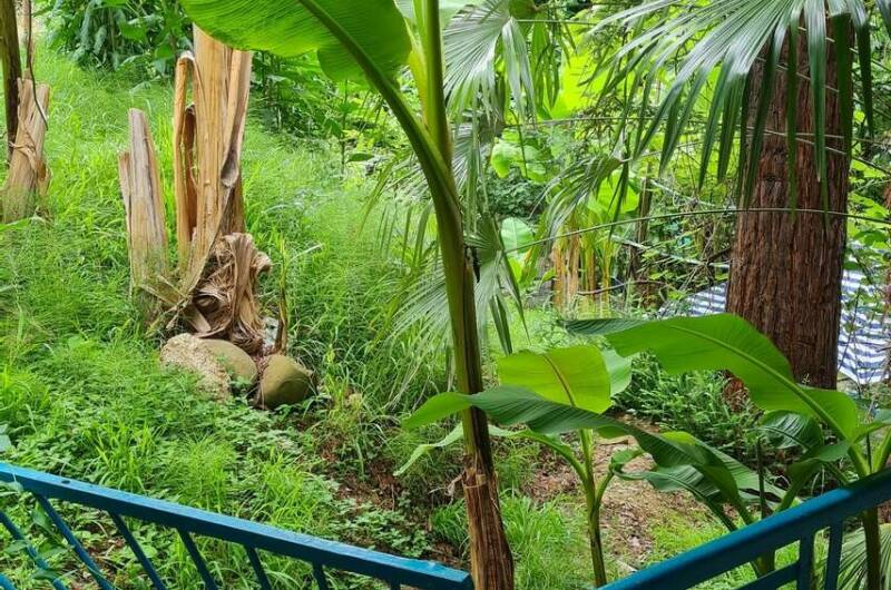 Изображение Изображение отеля / гостиницы "Гостевой дом «У Зои»" #11 #9