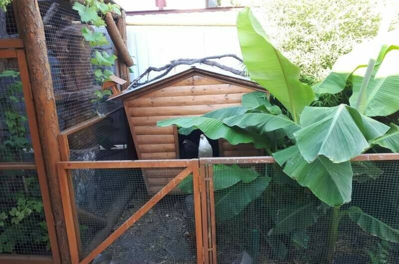 Изображение Изображение квартиры / апартамента "Дом под ключ на Шевченко" #10 #8