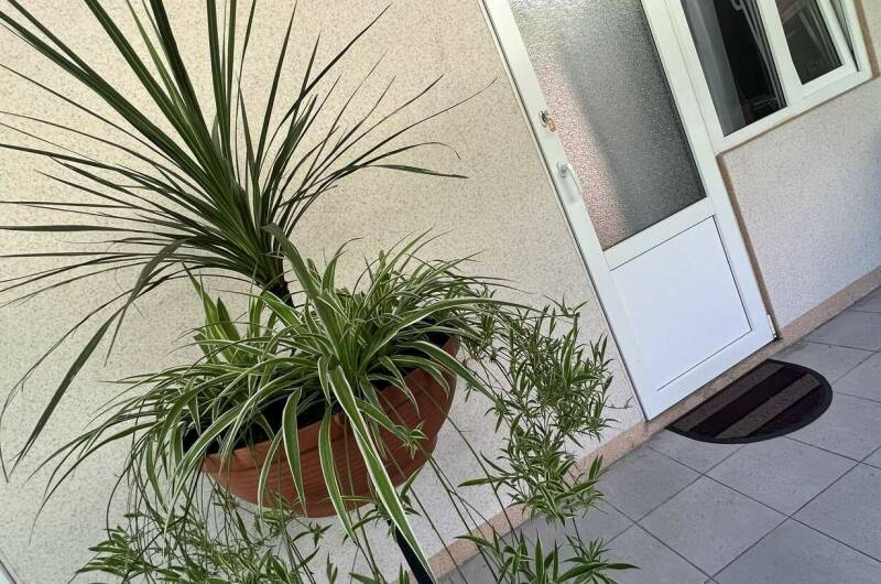 Изображение Изображение гостиницы "Гостевой дом «ЛариЛанка»" #4 #4