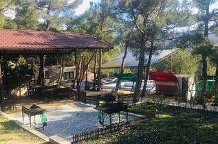 Изображение Изображение квартиры / апартамента "Этаж под ключ «В сосновом бору»" #10 #8