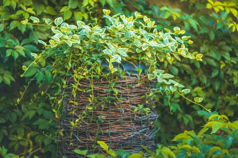 Изображение Изображение гостиницы "Гостевой дом «ДимИль»" #2 #2