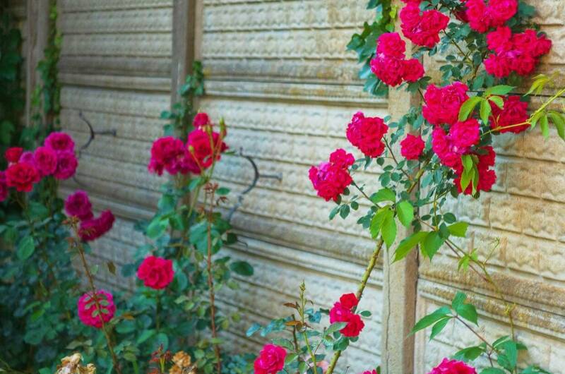 Изображение Изображение гостиницы "Гостевой дом «ДимИль»" #5 #5