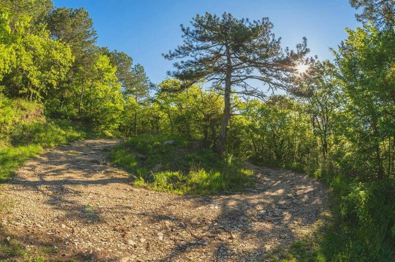 Изображение Изображение отеля / гостиницы "Гостевой дом «ДимИль»" #10 #8