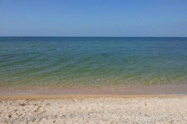 Изображение Изображение гостиницы "Гостевой дом «Латте»" #5 #5