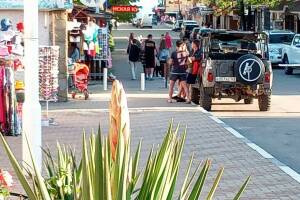 Изображение отеля / гостиницы "Гостевой дом «Zelionyi.dvorik»"