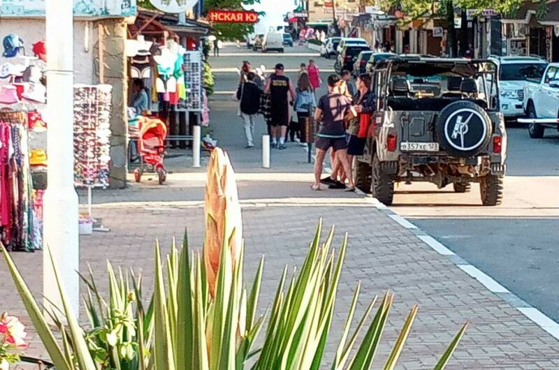 Изображение Изображение гостиницы "Гостевой дом «Zelionyi.dvorik»" #1 #1