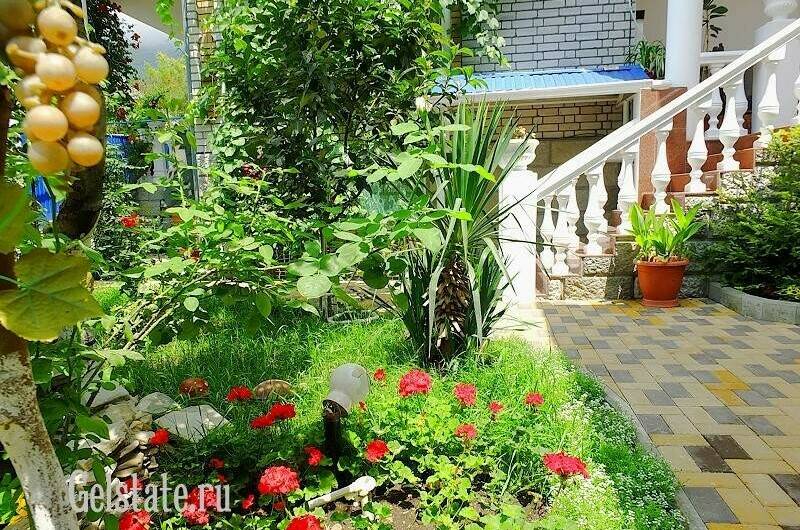 Изображение Изображение гостиницы &quot;Частный сектор «Изобилие»&quot; #8 #8